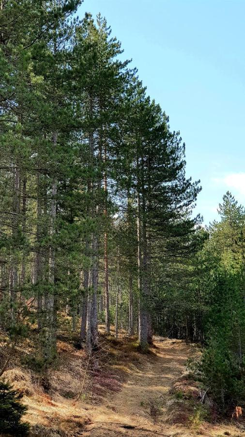 Chalet Previja