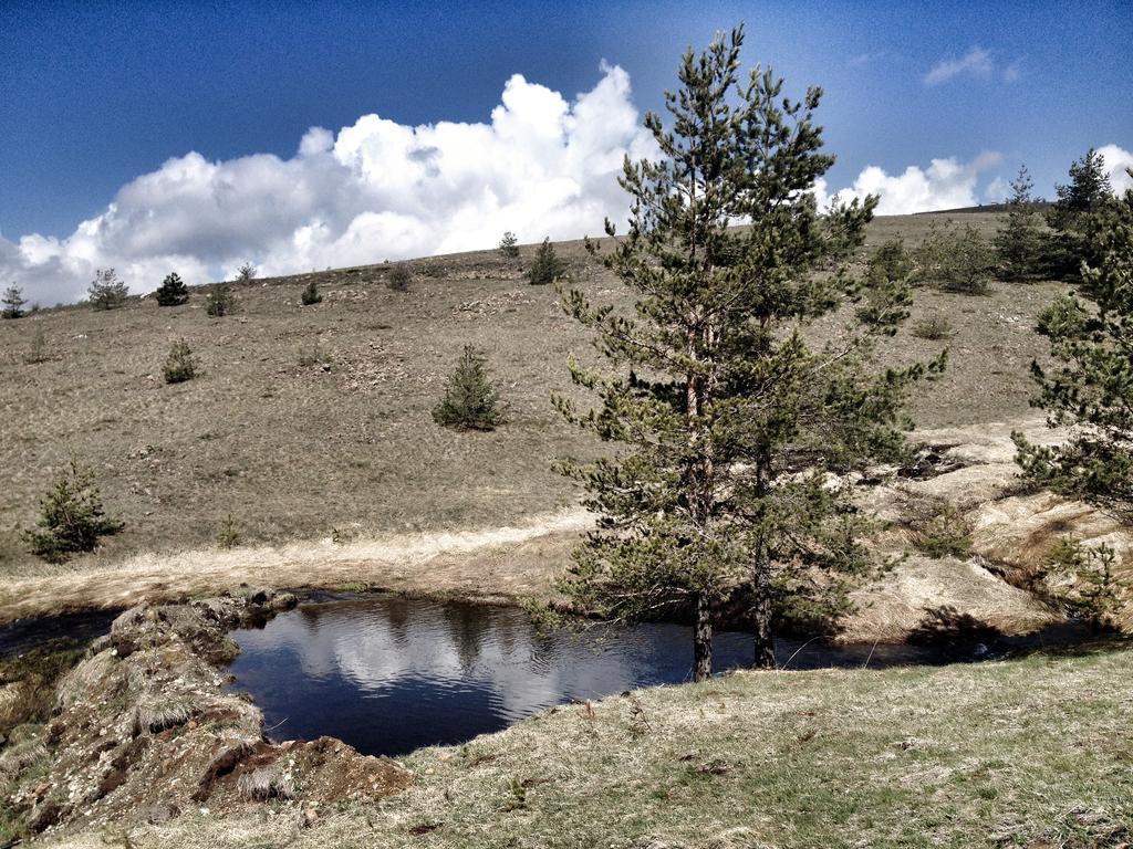 Chalet Previja Zlatibor