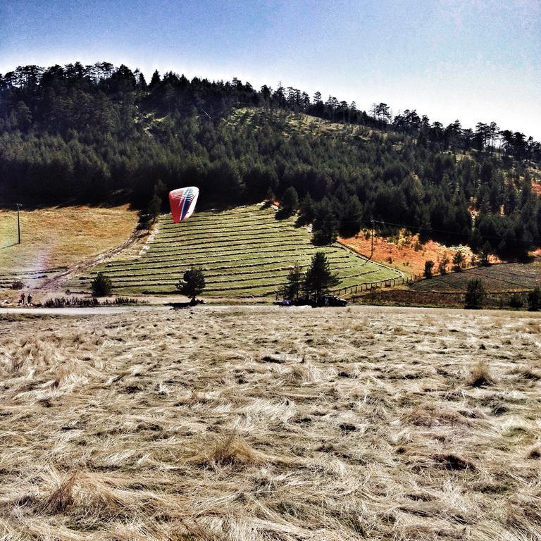 Previja Chalet *