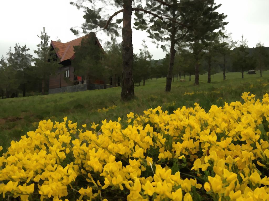 Chalet Previja