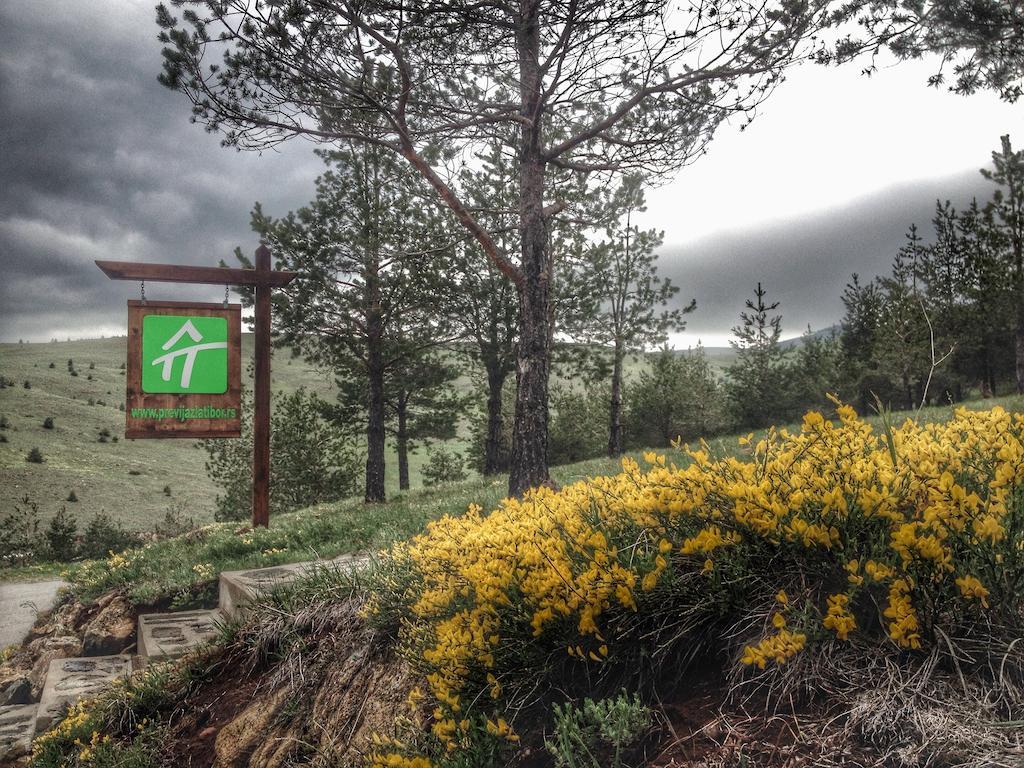 Chalet Previja Zlatibor