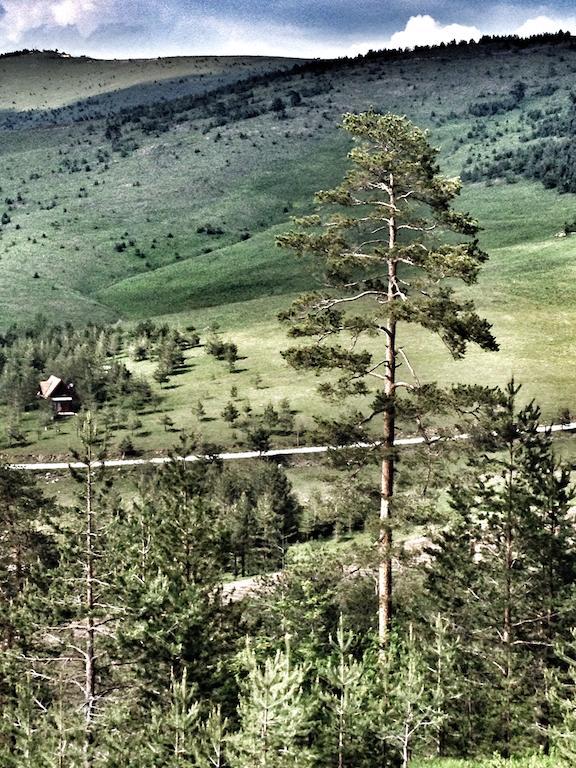 Chalet Previja *