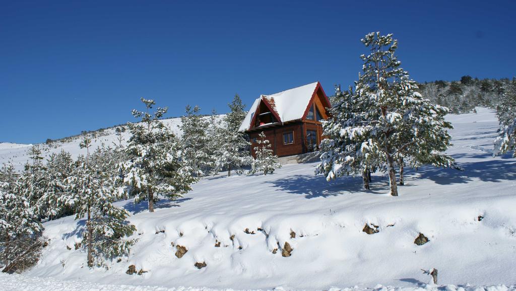 Chalet Previja Zlatibor