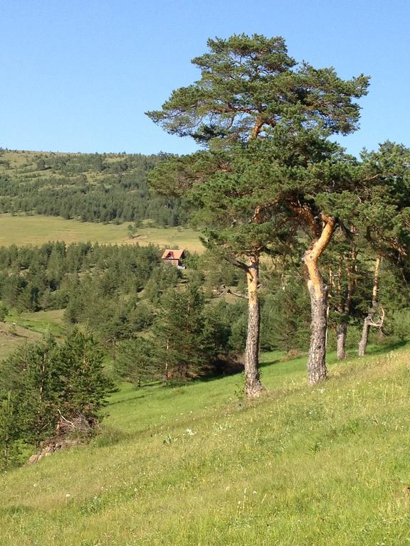 Chalet Previja *