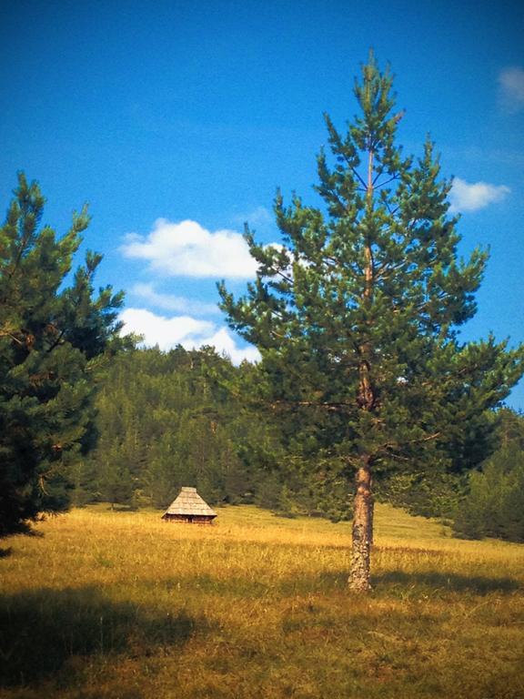 Chalet Previja