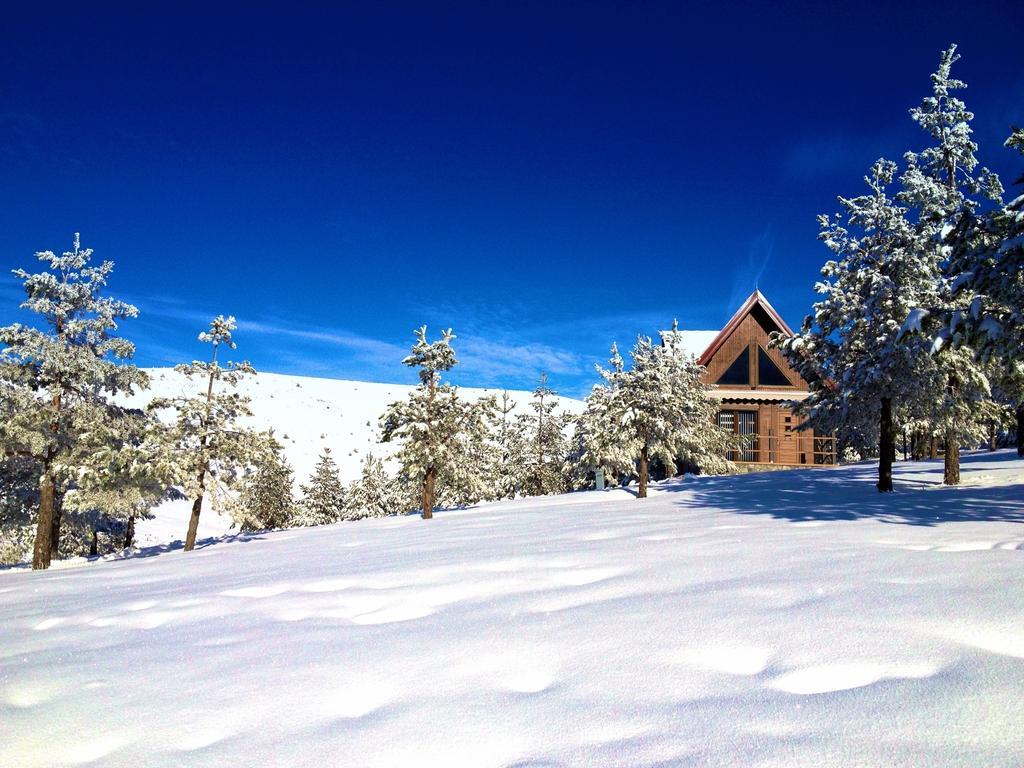 Chalet Previja Zlatibor